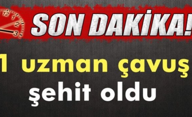 1 uzman çavuş şehit oldu