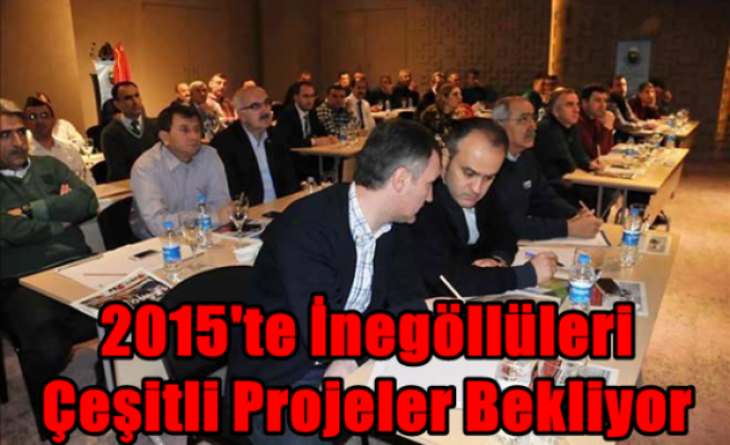 2015'te İnegöllüleri Çeşitli Projeler Bekliyor