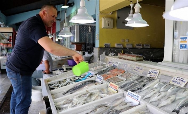 Yasak bitti, balık tezgahları şenlendi