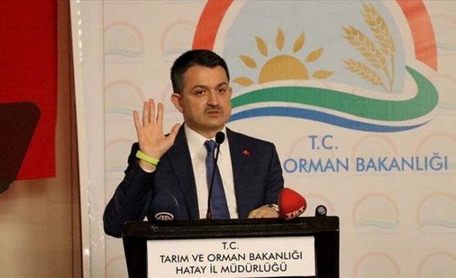 Bakan Pakdemirli'den yerli tohum çağrısı