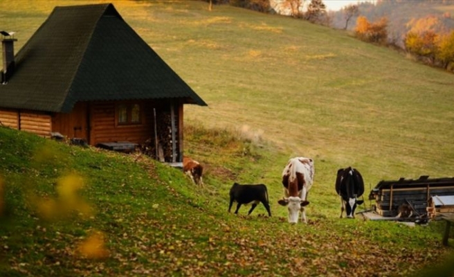 Bosna Hersek'te sonbahar renkleri