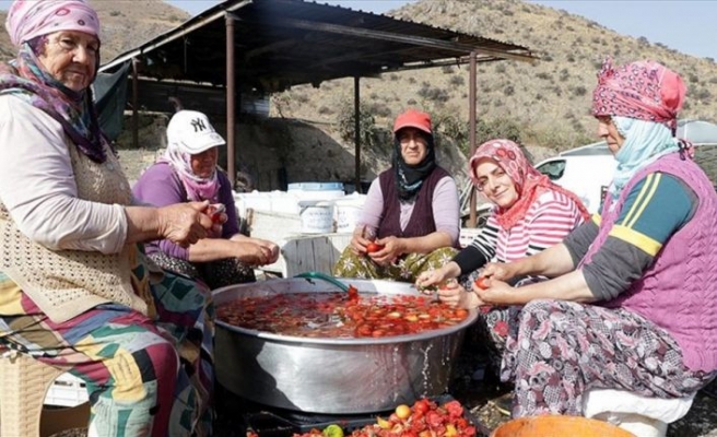 Domates tozuyla hayallerini gerçekleştirecek