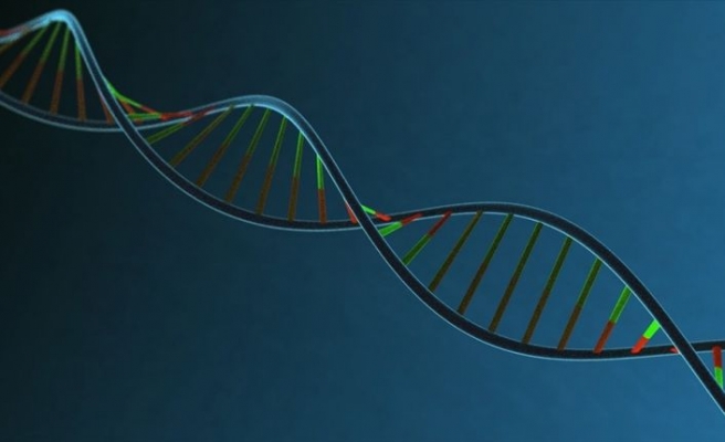 İnsan DNA'sının müziği notalara döküldü