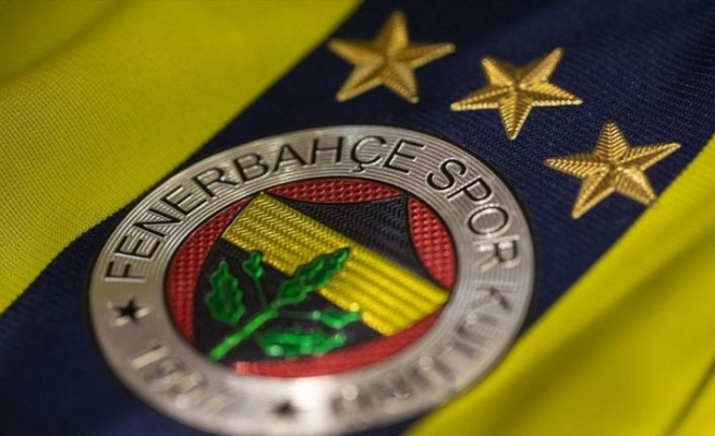 Fenerbahçe Luiz Gustavo'yu transfer etti