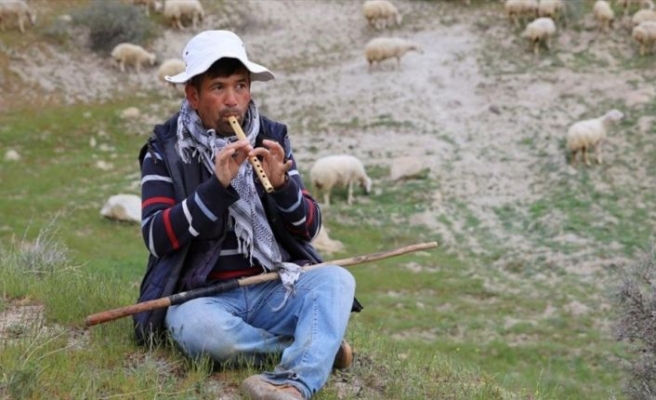 'Afgan çoban getirileceği' iddiasına yalanlama