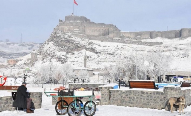 Doğu Anadolu kar beyazı