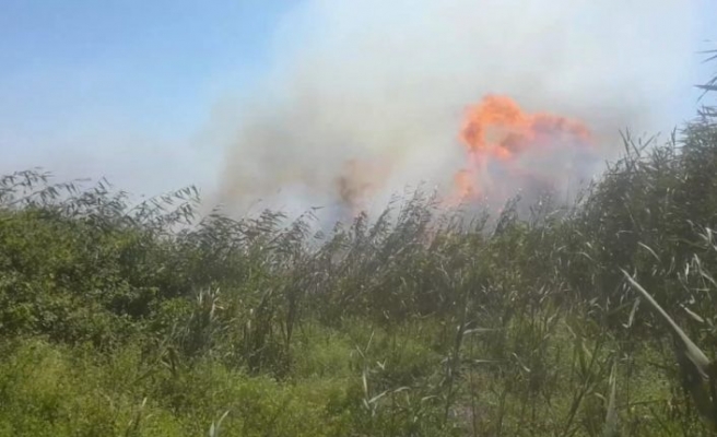 İznik'te sazlık alanda çıkan yangın söndürüldü