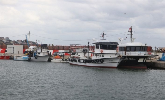 Tekirdağ'da balık avına poyraz engeli