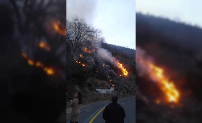 Tekirdağ'da çıkan orman yangını söndürüldü