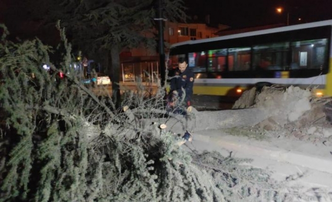 Bursa'da lodos etkili oldu