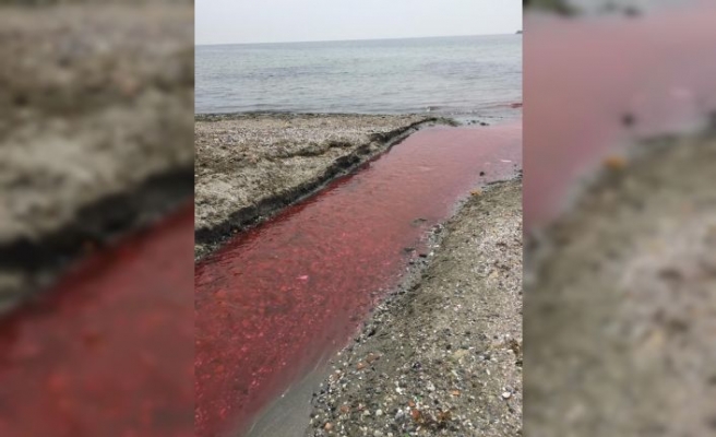 Tekirdağ'da Kamara Deresi renk değiştirdi