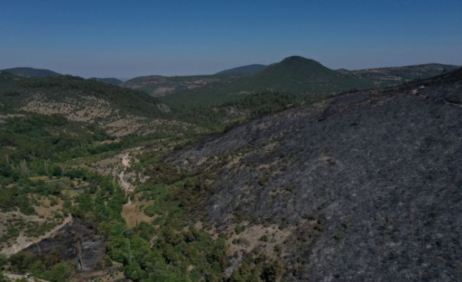 Balıkesir'in Kepsut ilçesindeki orman yangınında soğutma çalışmaları sürüyor