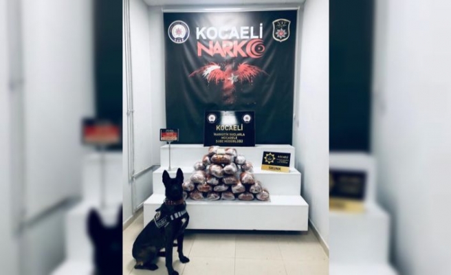 Kocaeli'de durdurulan tırda 20 kilo 800 gram skunk ele geçirildi