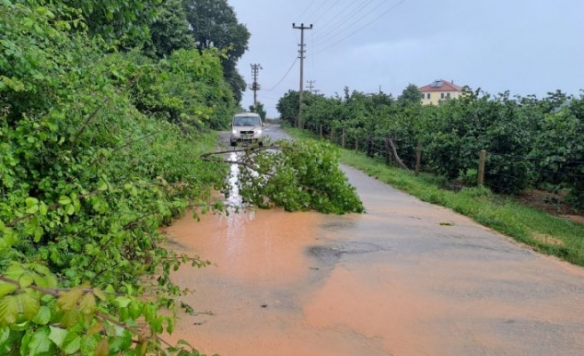 Sakarya'da sağanak etkisini sürdürüyor