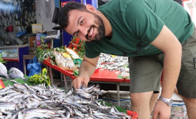 Hamsideki bolluk balıkçı tezgahlarını hareketlendirdi