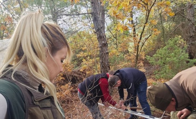 Çanakkale'de kuyuya düşen porsuk Doğa Koruma ekibince kurtarıldı