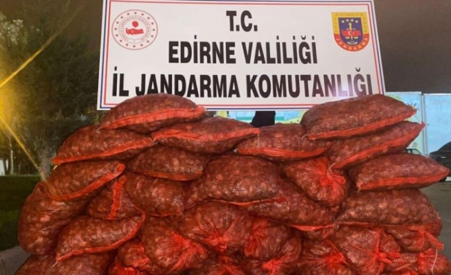 Edirne'de 600 kilogram kum midyesi ele geçirildi