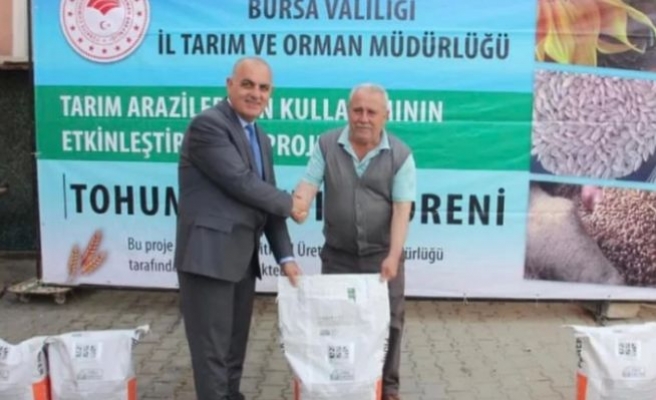 Mudanyalı üreticilere ayçiçeği tohumu dağıtıldı