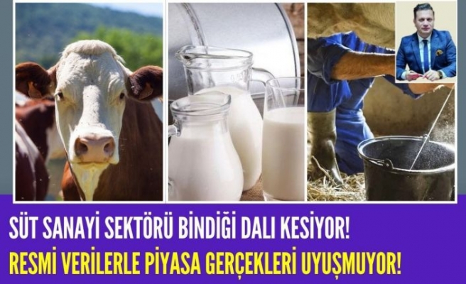 Muhammet Oluklu Yazdı:''Süt Sanayi Sektörü Bindiği Dalı Kesiyor!''