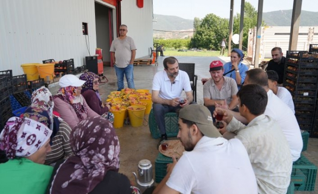 ŞEFTALİNİN ANA VATANINA AB’DEN TESCİL MÜJDESİ