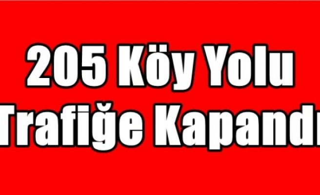 205 Köy Yolu Trafiğe Kapandı