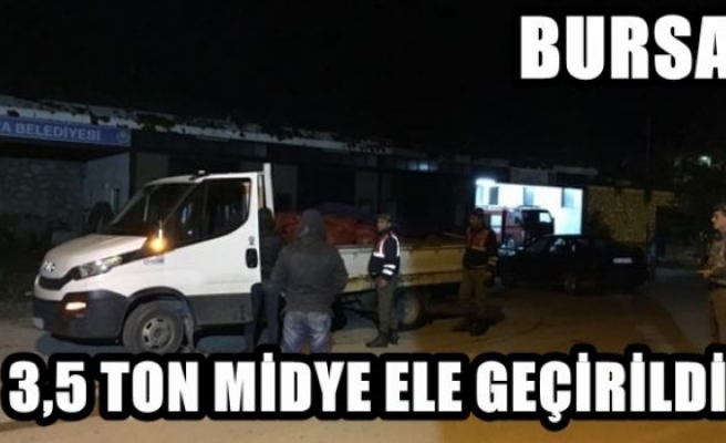 3.5 ton kaçak midye ele geçirildi