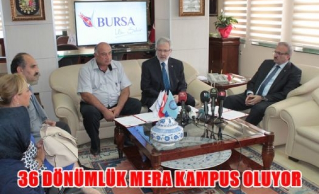 36 Dönümlük mera kampüs oluyor