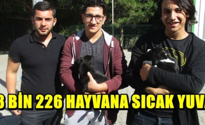 3 BİN 226 HAYVANA SICAK YUVA