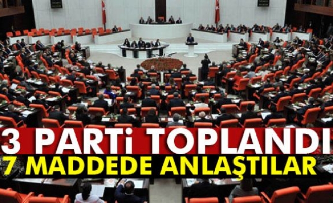 3 parti 7 maddede anlaştı