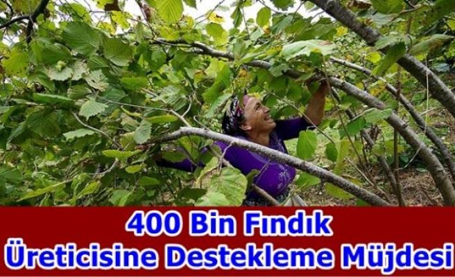 400 Bin Fındık Üreticisine Destekleme Müjdesi