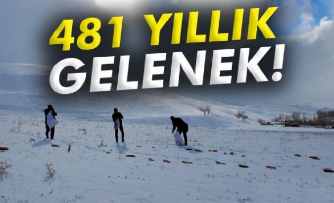 481 yıllık gelenek!