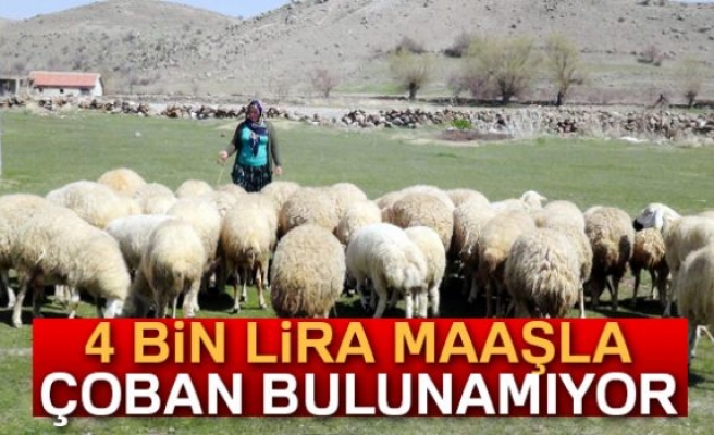 4 BİN LİRA MAAŞ!