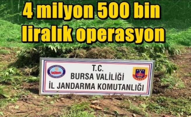 4 milyon 500 bin liralık operasyon