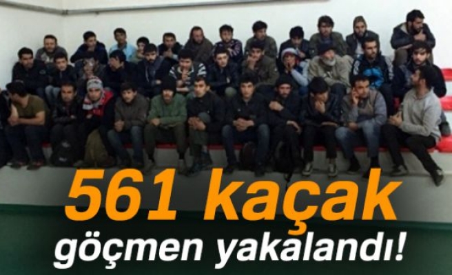 561 KAÇAK GÖÇMEN YAKALANDI!