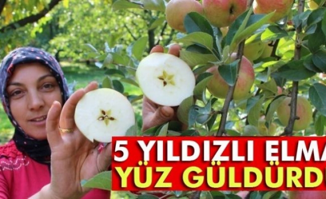 5 yıldızlı elma yüz güldürdü