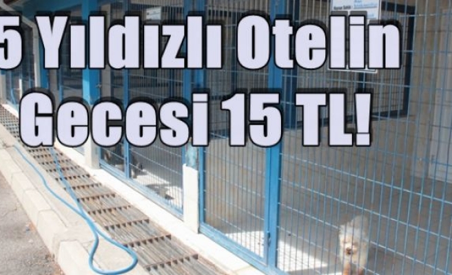 5 Yıldızlı Otelin Gecesi 15 TL!