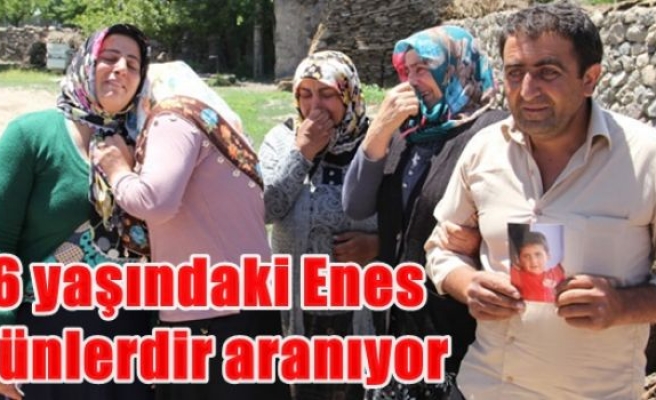 6 yaşındaki Enes günlerdir aranıyor