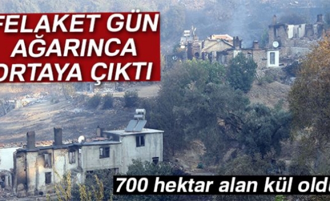 700 hektar alan yok oldu!