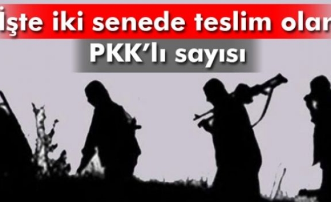 8 PKK'llı teslim oldu, rakam ...