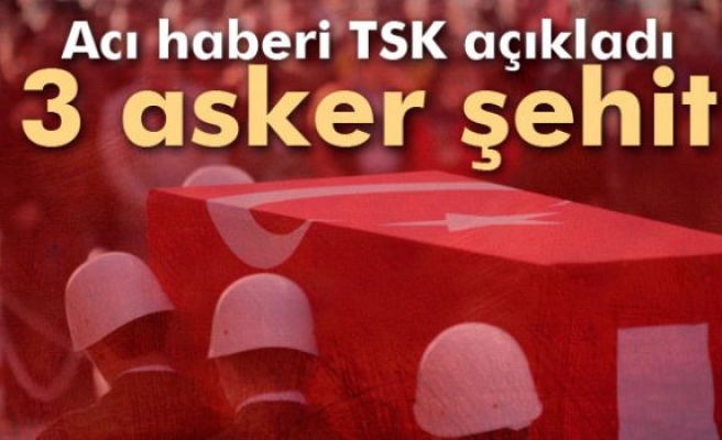 Acı haberi TSK açıkladı: 3 şehit