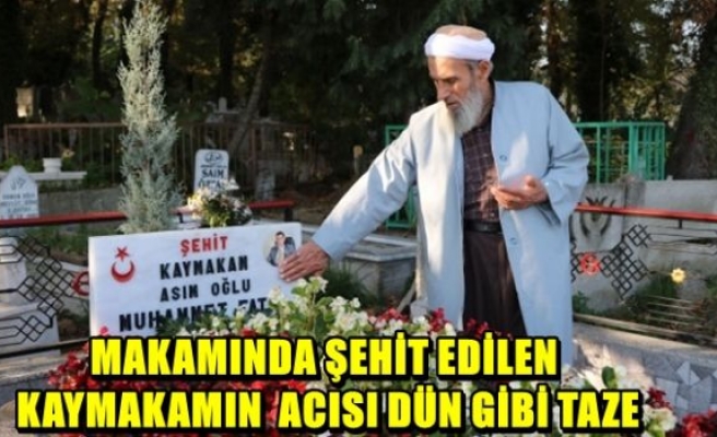 Acısı hala dün gibi taze