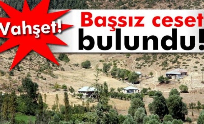 Adana’da başsız ceset bulundu