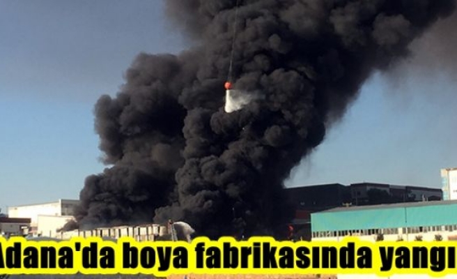 Adana'da boya fabrikasında yangın