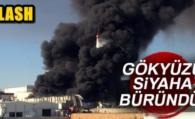 Adana'da boya fabrikasında yangın