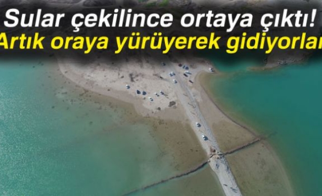 Adaya yürüyerek gittiler!