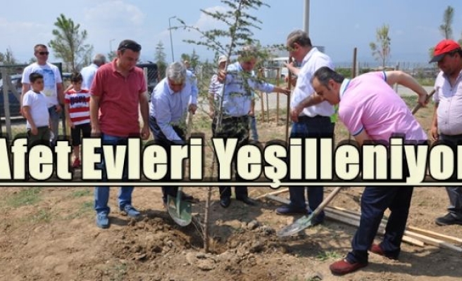 Afet Evleri Yeşilleniyor