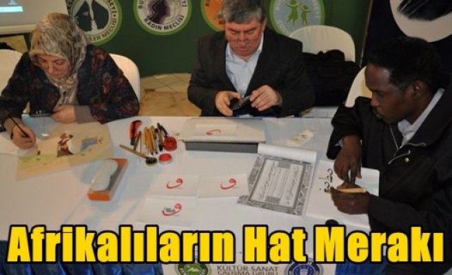 Afrikalıların Hat Merakı