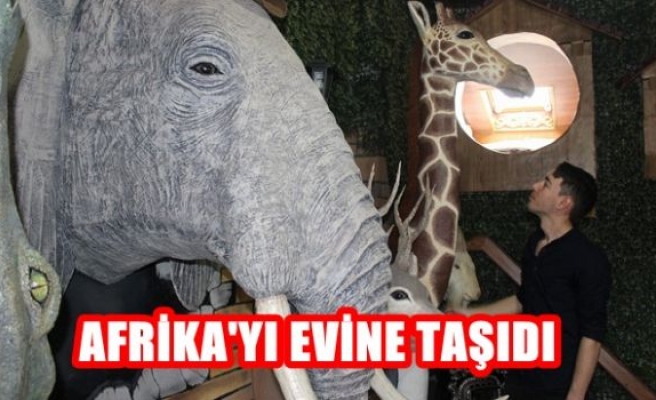 Afrikayı Evine Taşıdı