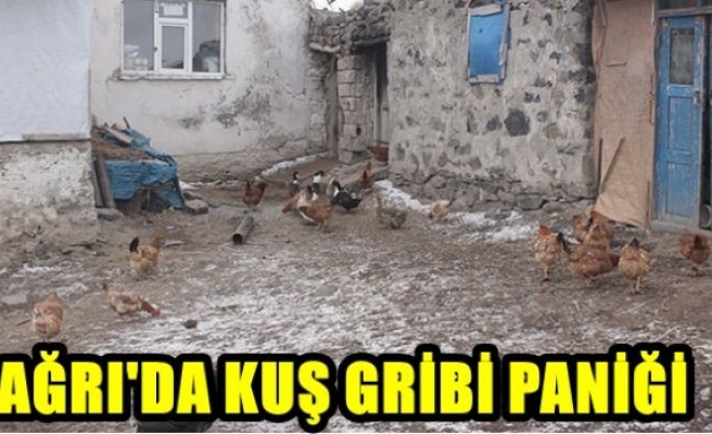 Ağrı'da kuş gribi paniği