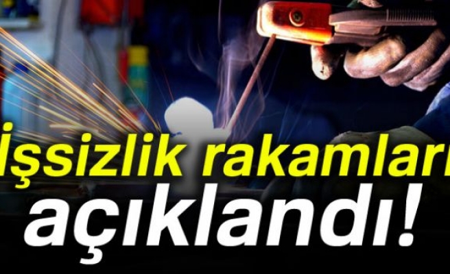 Ağustos ayı işsizlik rakamları açıklandı